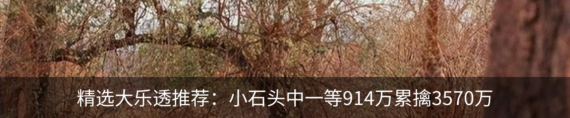 资讯中心